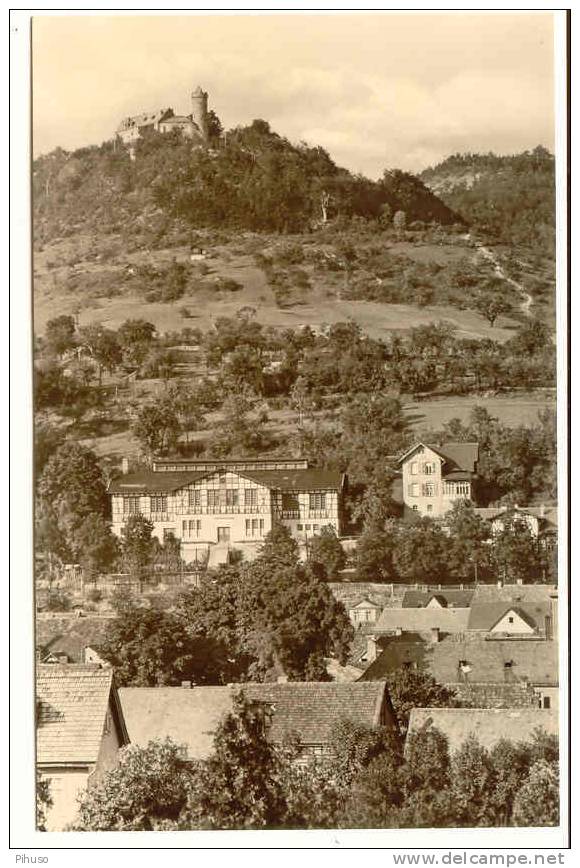 D301  BAD BLANKENBURG : Blick Zur Ruine Greifenstein - Bad Blankenburg