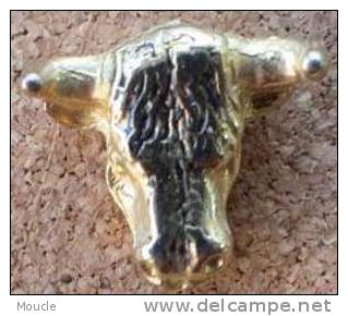 TETE DE TAUREAU EN RELIEF - DORE - Bullfight - Corrida