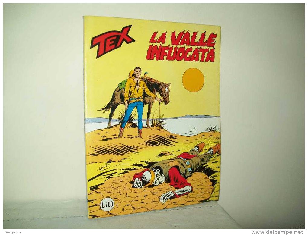 Tex Gigante (Daim Press 1982) N. 255 - Tex