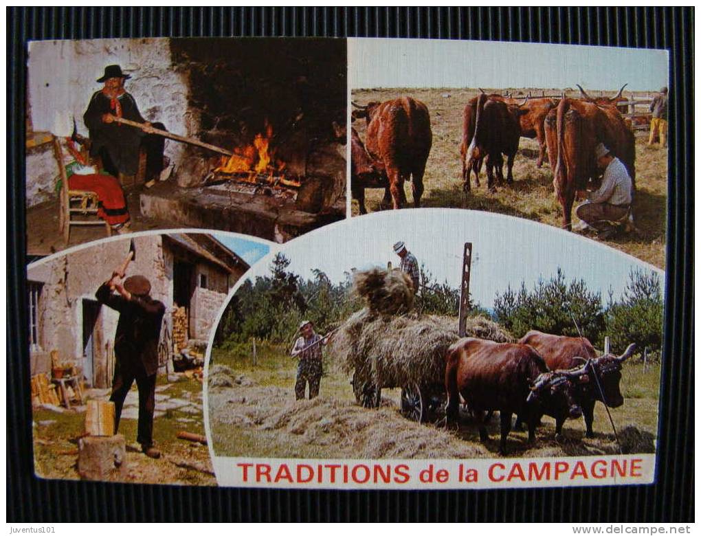 CPSM Traditions De La Campagne-Veilléeau Cantou-Traite-le Bucheron-La Fenaison - Non Classés