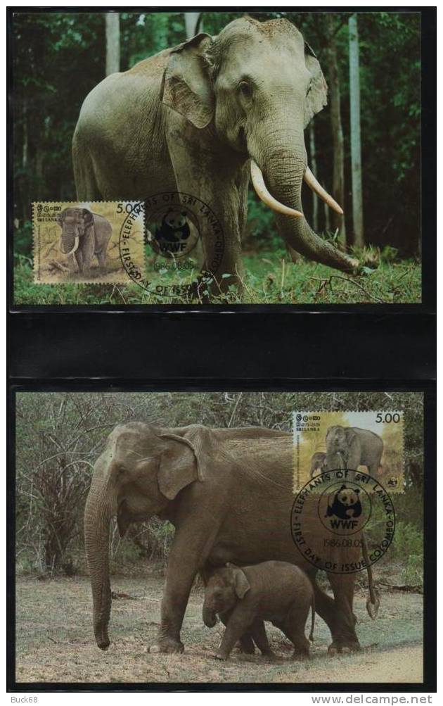 SRI LANKA / Superbe Lot WWF 4 Cartes Postales + 4 Enveloppes : ELEPHANT ELEFANT ELEFANTE - Eléphants