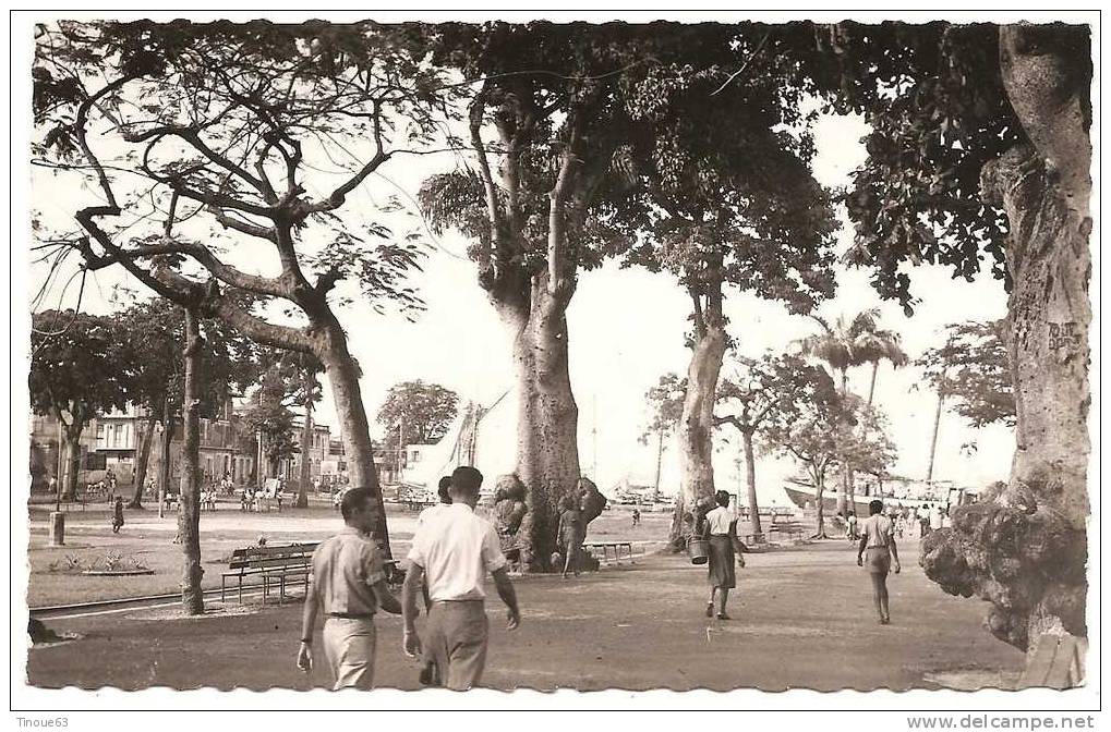 971 - CPSM P. F. - GUADELOUPE - POINTE A PITRE - Place De La Victoire Dans L'allée Matinale - Collection CABE - Pointe A Pitre