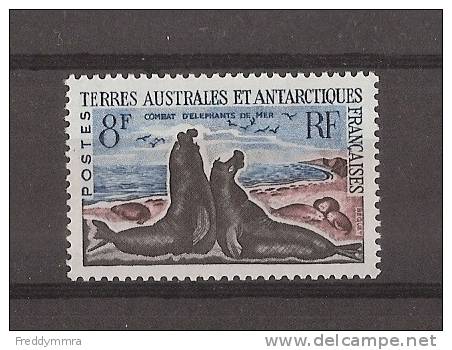 T.A.A.F:  13C **  Eléphants De Mer - Unused Stamps