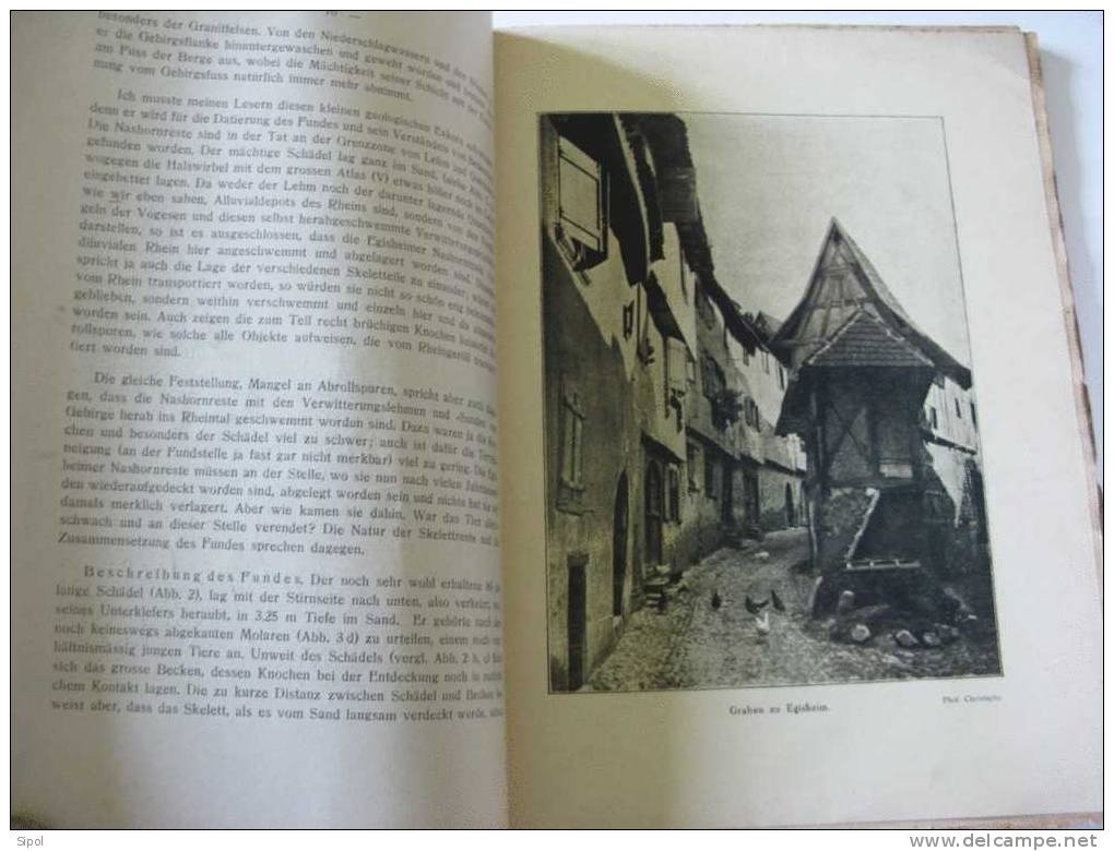 Egisheim ( Eguisheim ) Dorf Und Stadt Aug. Scherlen Stadtarchivar Von Colmar  Alsatia 1929 - 131 Pages - 1. Antiquity