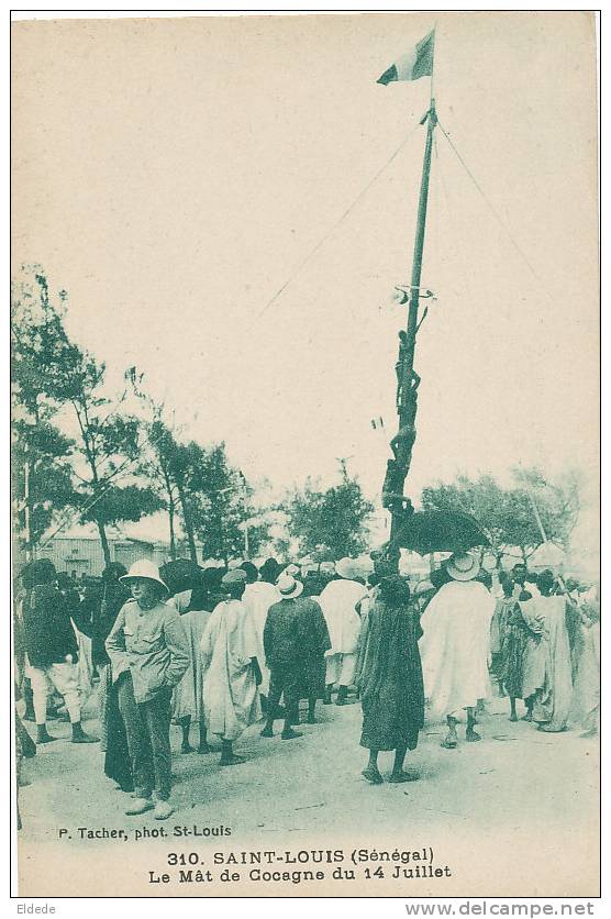 Saint Louis Edit Tacher 310 Le Mat De Cocagne Du 14 Juillet - Sénégal