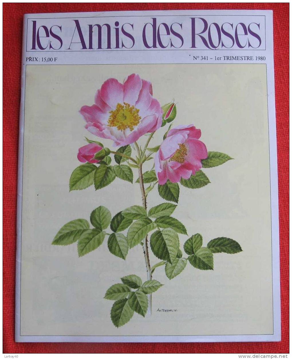 Les Amis Des Roses N° 341 - Garden