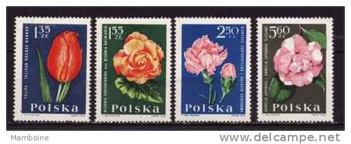 Pologne  Fleurs  1964 N 1400.02.03.05  Neuf  X X 4 Valeurs - Neufs