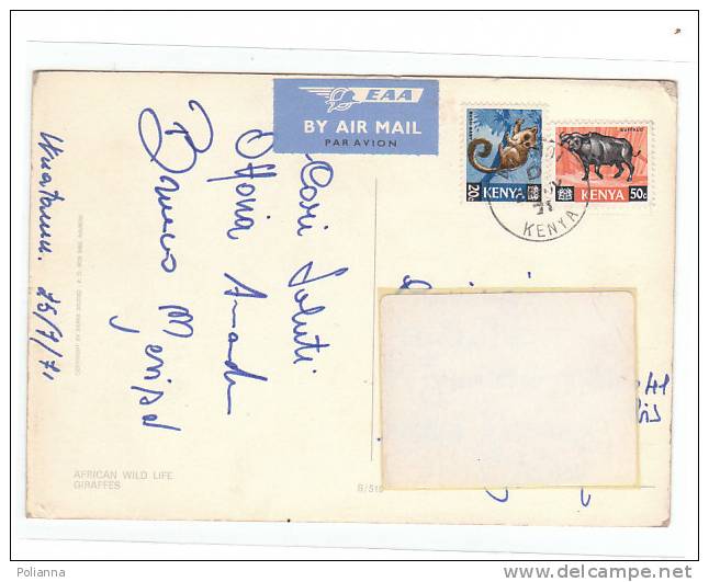 PO8910# KENYA - GIRAFFE   VG 1971 - Kenia