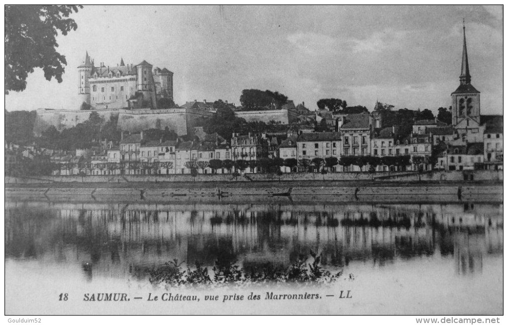 Le Chateau, Vue Prise Des Marronniers - Saumur