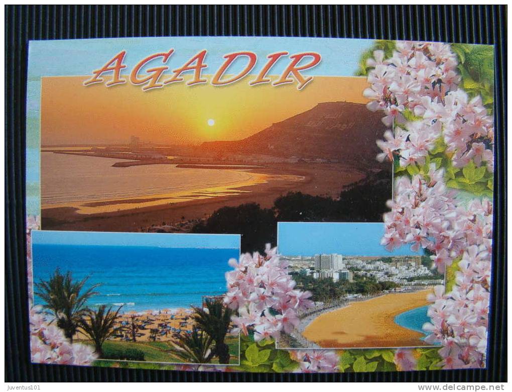 CPSM MAROC-Souvenir D'Agadir - Agadir
