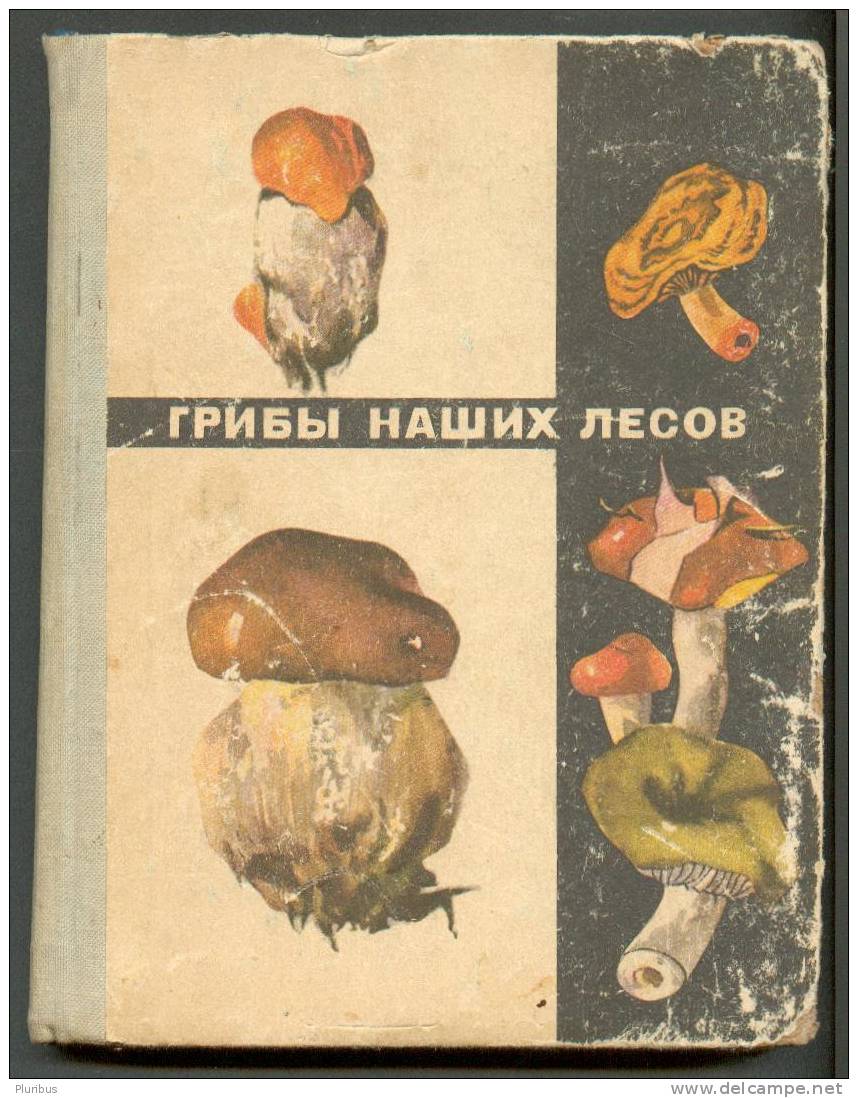 1970 MANUAL TO BELARUSIAN MUSHROOMS, FUNGI - Langues Slaves