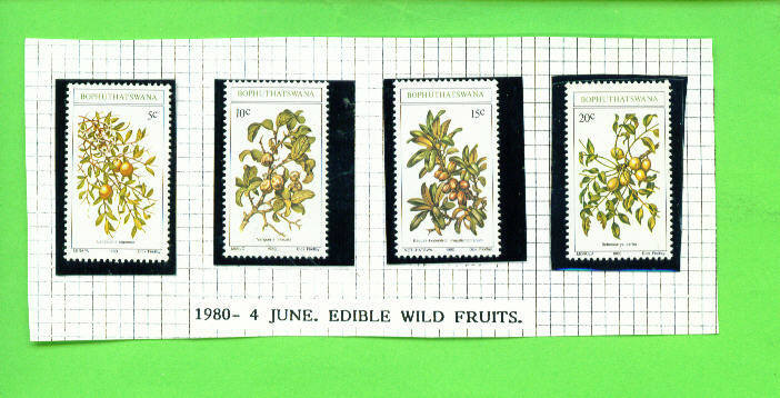 BOPHUTHATSWANA - 1980 Wild Fruits UM - Bofutatsuana
