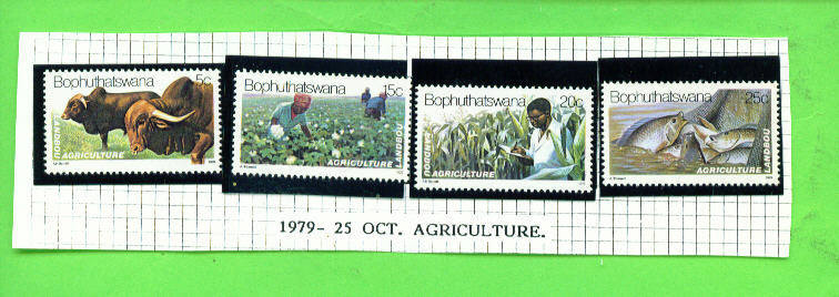 BOPHUTHATSWANA - 1979 Agriculture UM - Bophuthatswana