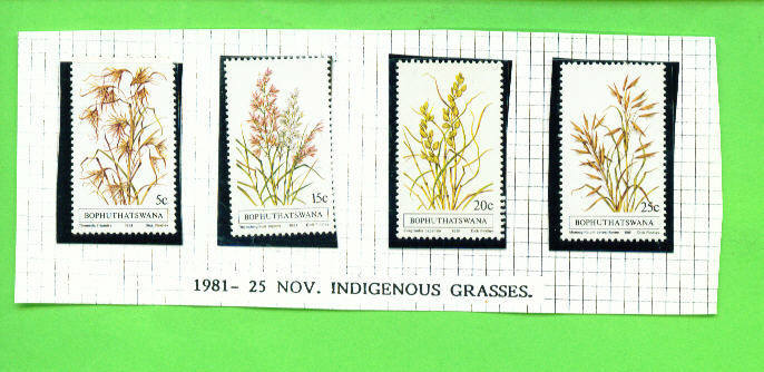 BOPHUTHATSWANA - 1981 Grasses UM - Bophuthatswana