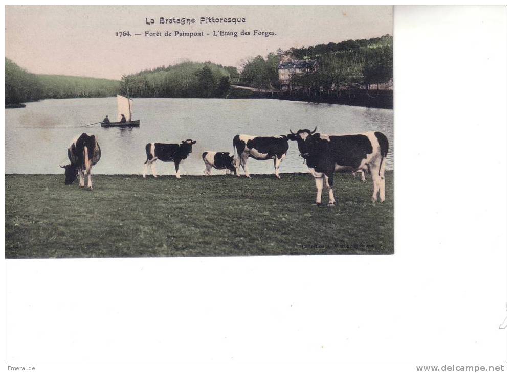 Forêt De Paimpont  L'Etang Des Forges - Paimpont