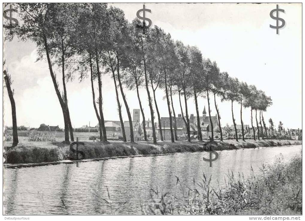 DAMME Belgique Flandre Occidentale  : De Vaart Van Brugge Naar Sluis Canal De Bruges - Damme