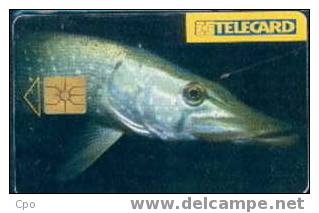 # CZECH C192 Pike (no20) 50 Gem 06.97 -poisson,fish- Tres Bon Etat - Tschechische Rep.