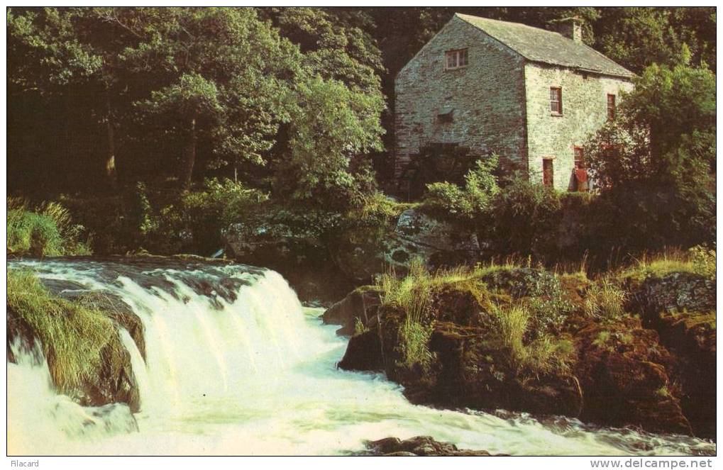 7664     Regno  Unito   Galles  Old Mill And  Falls  Cenarth    NV  (scritta) - Altri & Non Classificati