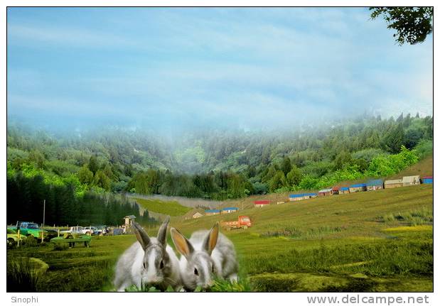 A71-29   @     Rabbits  , ( Postal Stationery , Articles Postaux ) - Conejos