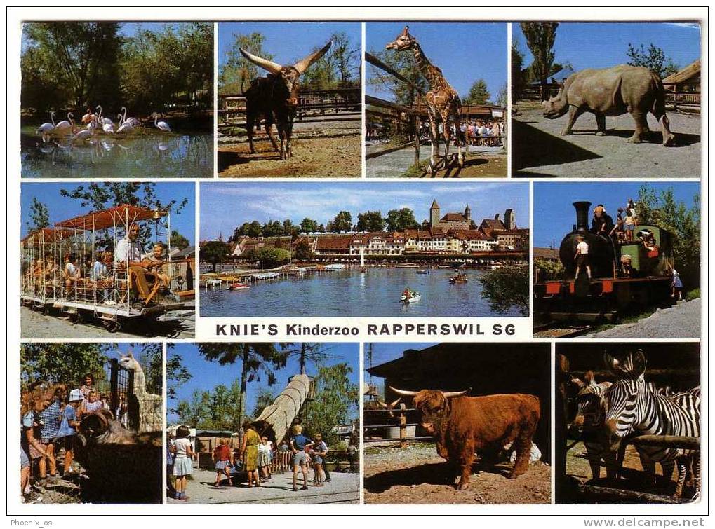 SWITZERLAND - Rapperswil, Knie's Childern Zoo, Mosaic Postcard, Year 1968 - Rapperswil-Jona