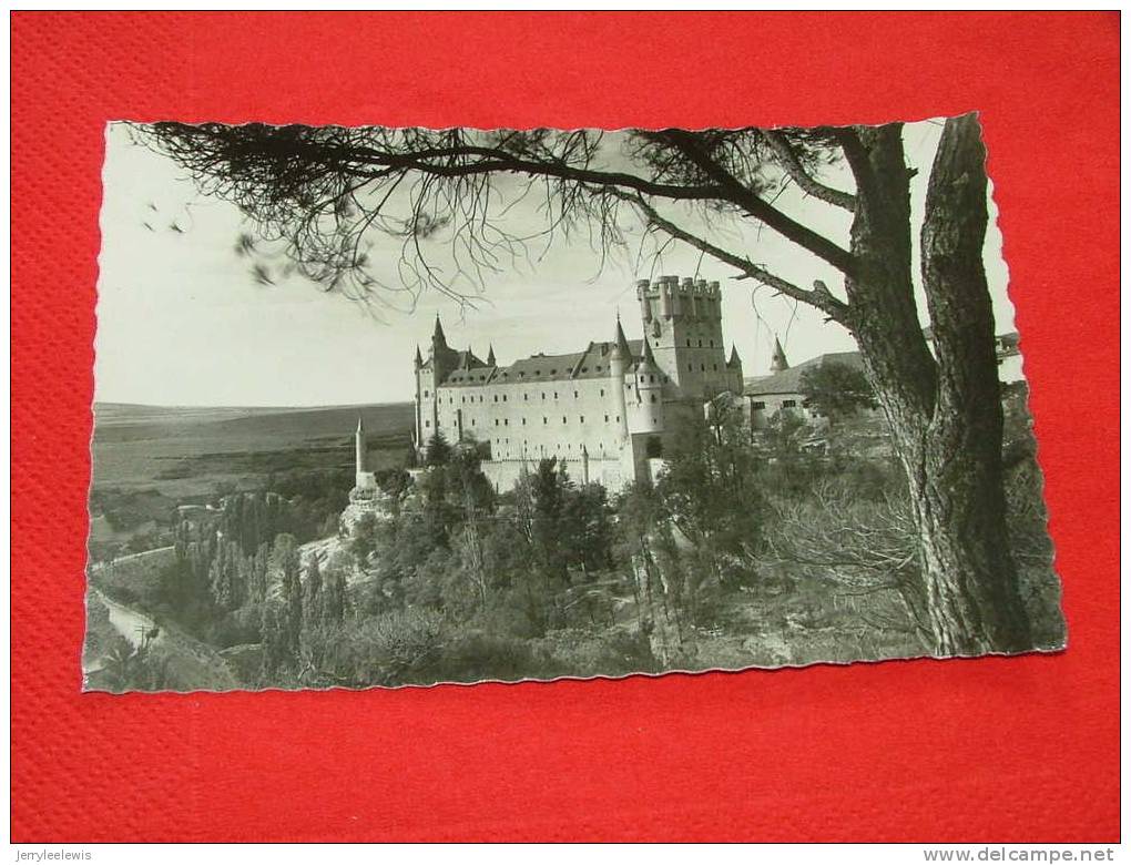 Segovia -  El Alcazar, Visto Desde El Pinar - Segovia