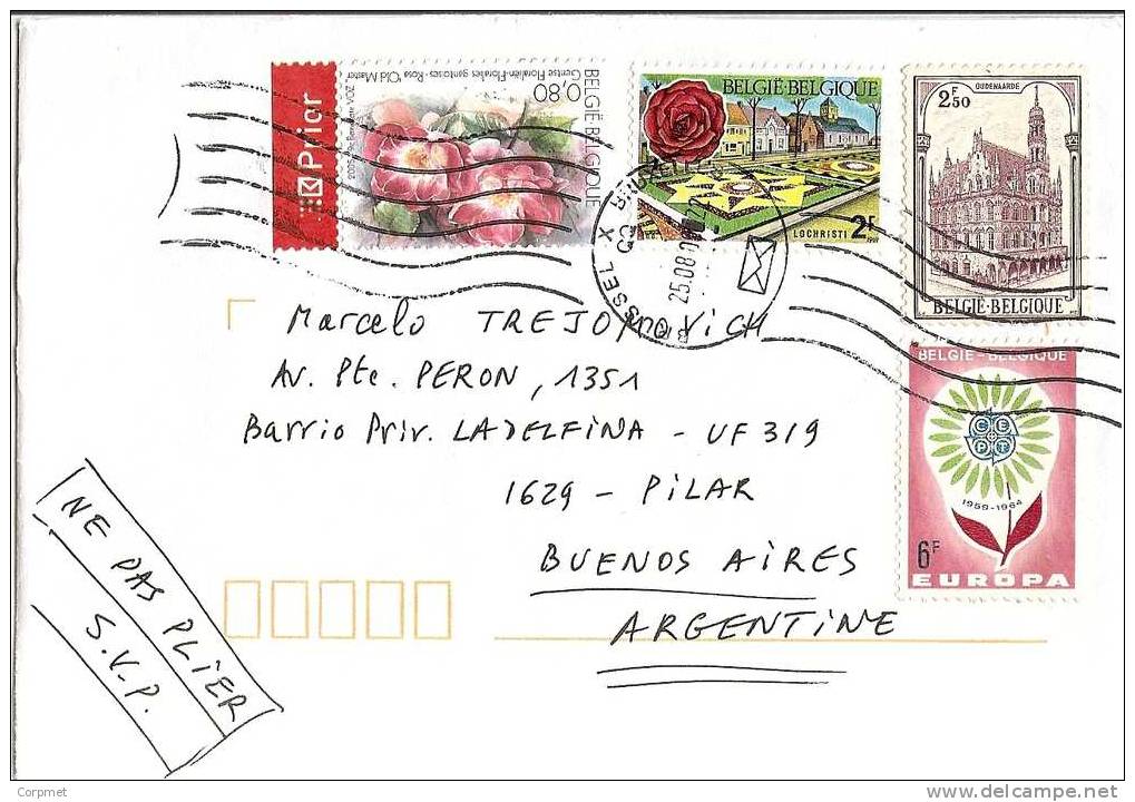 BELGIGUE - VF TOPICAL 2009 COVER From HAMME-MILLE To BUENOS AIRES - Lettres & Documents