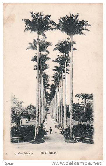 Rio De Janeiro: Jardim Botanico. Undivided Back. Publ. By A. Ribeiro. - Rio De Janeiro