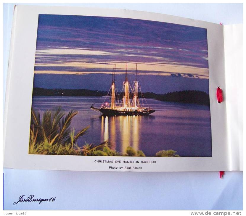 CHRISTMAS EVE HAMILTON HARBOUR, PHOTO BY PAUL FARRELL - Houseboats