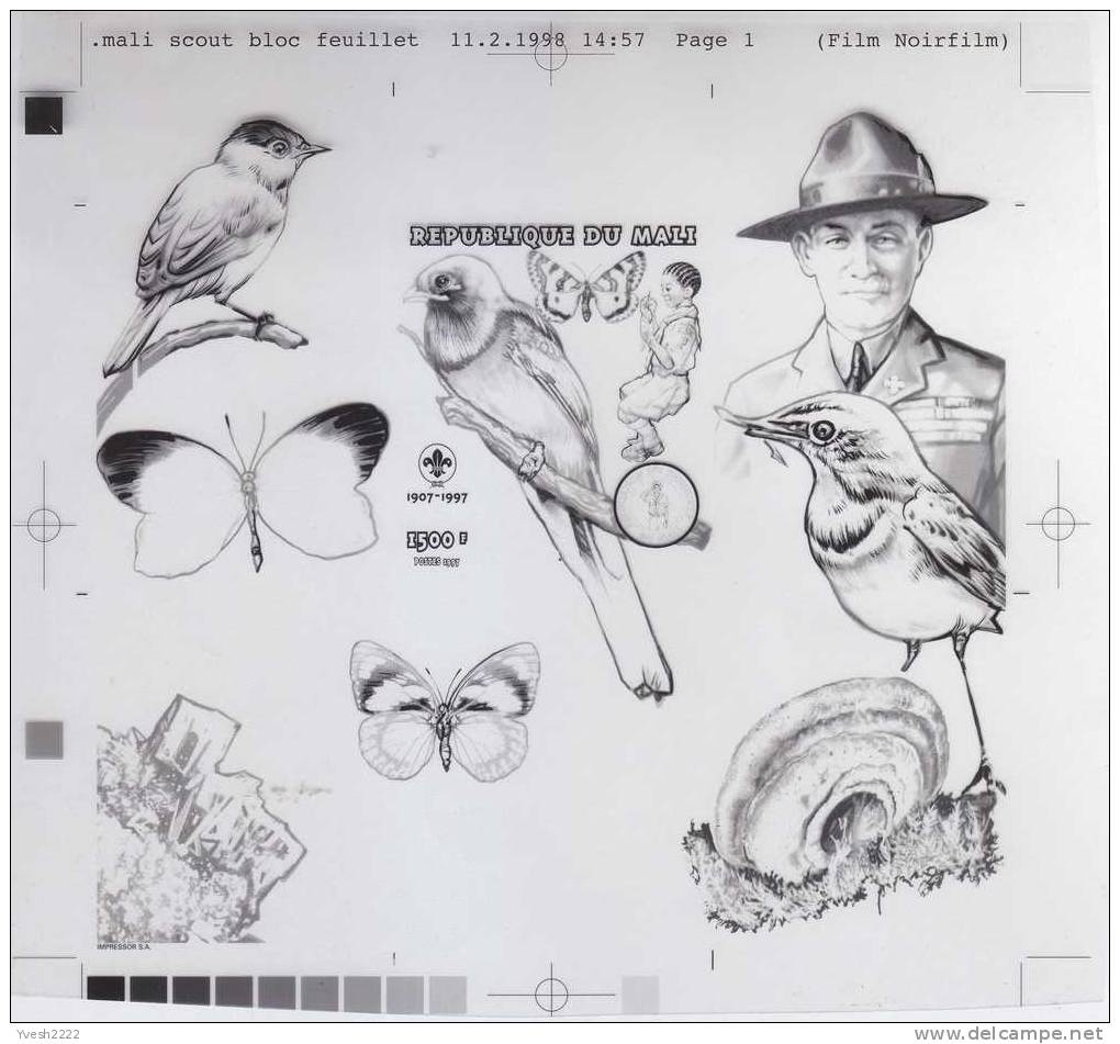 Mali 1997. Set Of 4 Offset Printing Films: Black, Yellow, Cyan & Magenta. Butterfly, Birds, Mineral, Baden Powell, Snail - Other & Unclassified