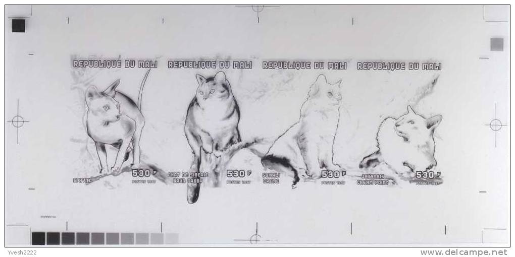 Mali 1998. Set Of 4 Offset Printing Films : Black, Yellow, Cyan And Magenta. Cats - Domestic Cats