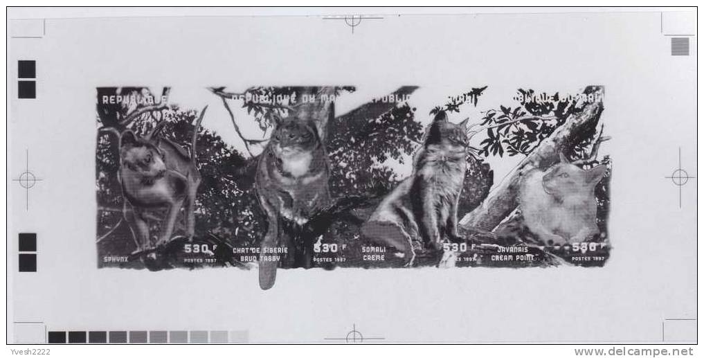 Mali 1998. Set Of 4 Offset Printing Films : Black, Yellow, Cyan And Magenta. Cats - Domestic Cats