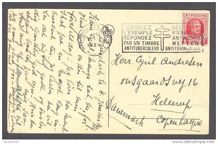 Belgium Bruxelles - Palais Du Roi King's Palace Brussels 1929 To Hellerup Denmark Tuberculosis (2 Scans) - Institutions Internationales