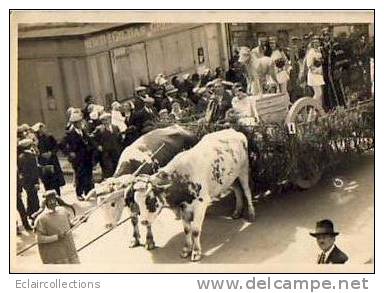 Carte Photo .Fête..Char A Boeufs   Loire Atlantique.. Mercerie Gildas - To Identify