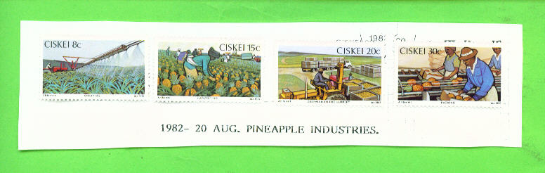 CISKEI - 1982 Pineapple Industry MM - Ciskei