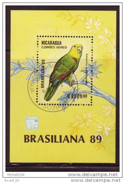 Bloc Feuillet Du Nicaragua, Oiseau, Perroquet, Perruche, Amazonie, Brasiliana 89,1989 - Papagayos