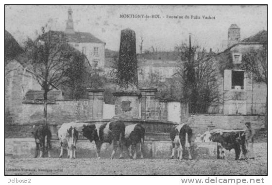 MONTIGNY - Le - ROI . - Fontaine Du Puits Vachot - Montigny Le Roi