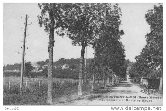 MONTIGNY - Le - ROI  Vue Générale Et Route De Meuse - Montigny Le Roi