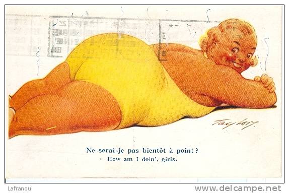 Illustrateur- Ref B193- Humour - Humoristique - Illustrateur  Taylor - Obése - Grosse  -carte Bon Etat - - Taylor