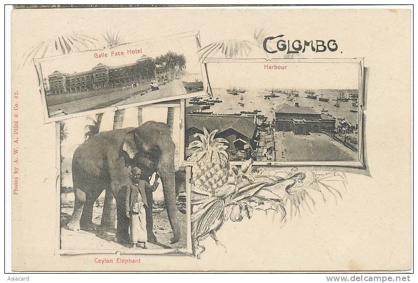 Colombo Multi View A.W.A Platé 42 Ceylon Elephant Galel Face Hotel Harbour Undivided Back - Sri Lanka (Ceylon)