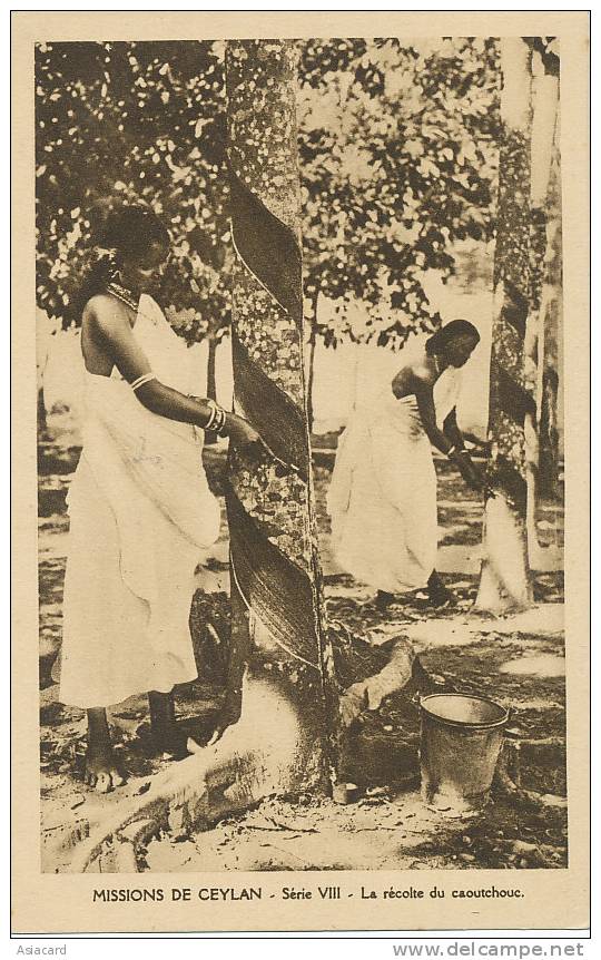 La Recolte Du Caoutchouc Hevea Rubber Tree  Missions Oblats Femmes Au Travail - Sri Lanka (Ceylon)