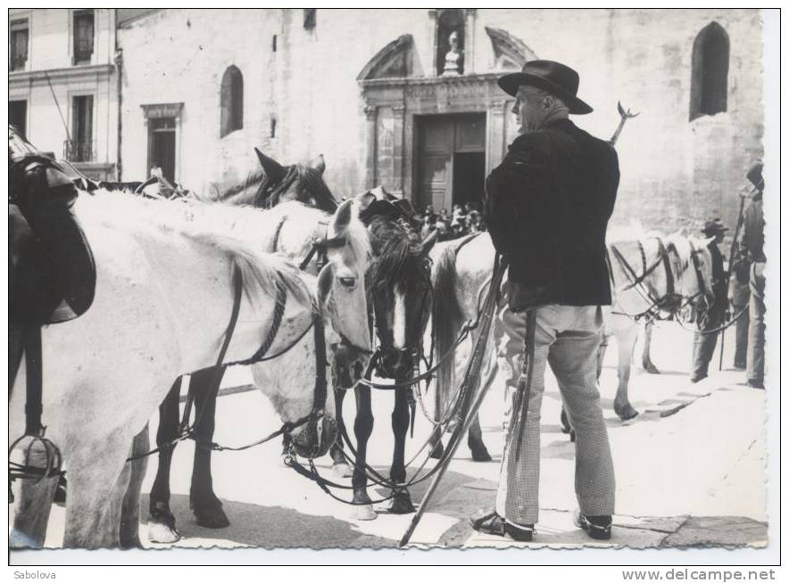 Sainte Marie De La Mer ? Arles ? Camargue Type Gardian - Altri & Non Classificati