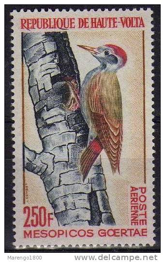 Haute Volta 1964 **    (g703b)     (NT !) - Papagayos