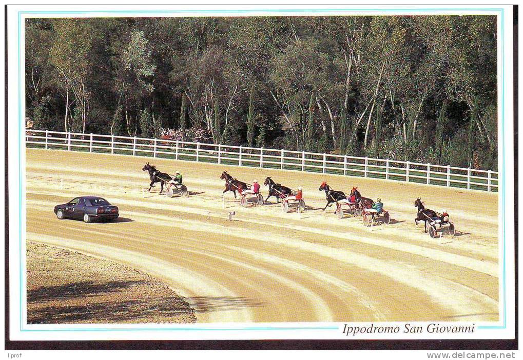 Gara Di Trotto All'Ippodromo Di S.Giovanni Teatino, Chieti - Ippica