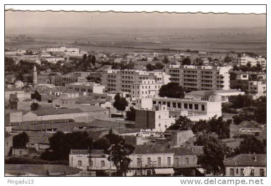 Sidi Bel Abbès Vue Générale Carte écrite Le 5 Novembre 1954 - Sidi-bel-Abbès