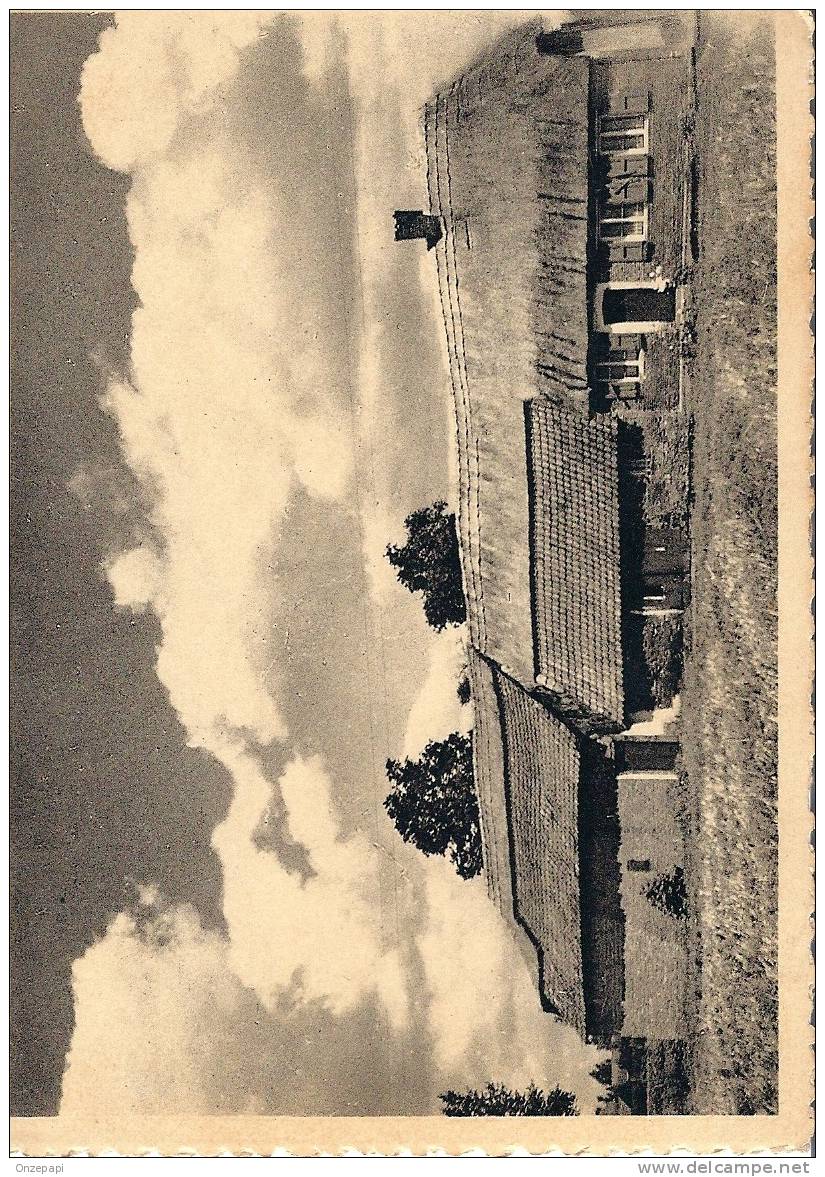 HEIST-OP-DEN-BERG - Achterheide - Kempisch Huis Met Vergrote Stal En Schuur - Heist-op-den-Berg