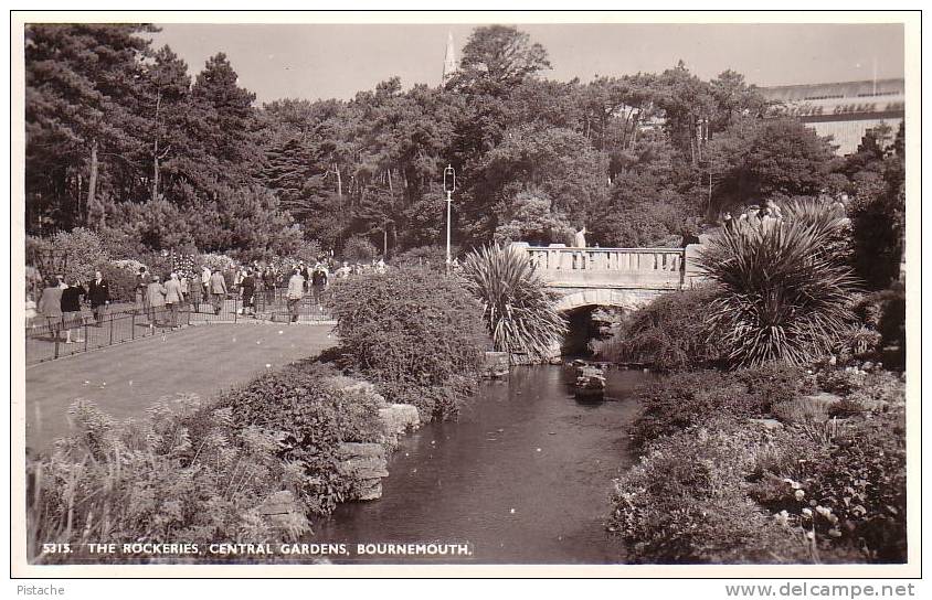 Carte Photo - Real Photo - Bournemouth Gardens - Dorset - État TB - 2 Scans - Ed. By Nigh's - Bournemouth (from 1972)