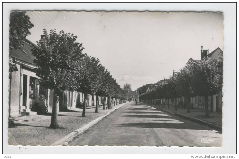 Neuillé-Pont-de-Pierre. Avenue Louis Proust. - Neuillé-Pont-Pierre