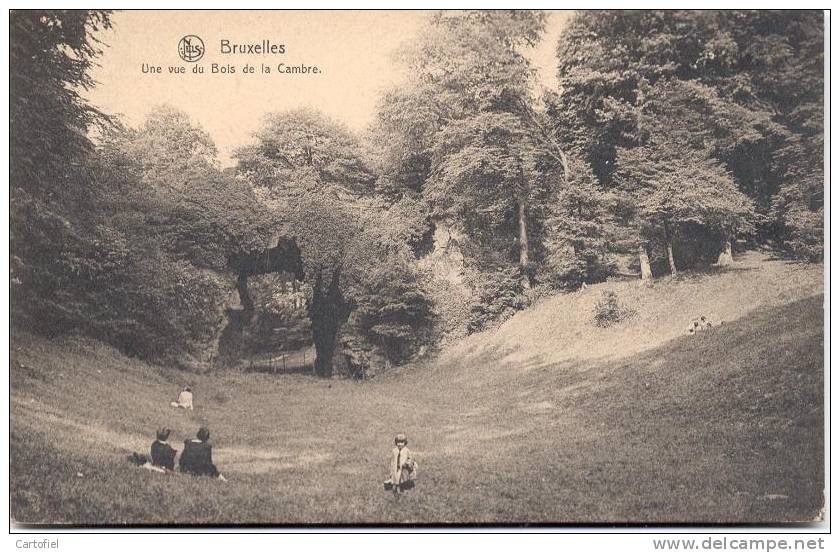 BRUSSEL-UNE VUE DU BOIS DE LA CAMBRE - Forêts, Parcs, Jardins