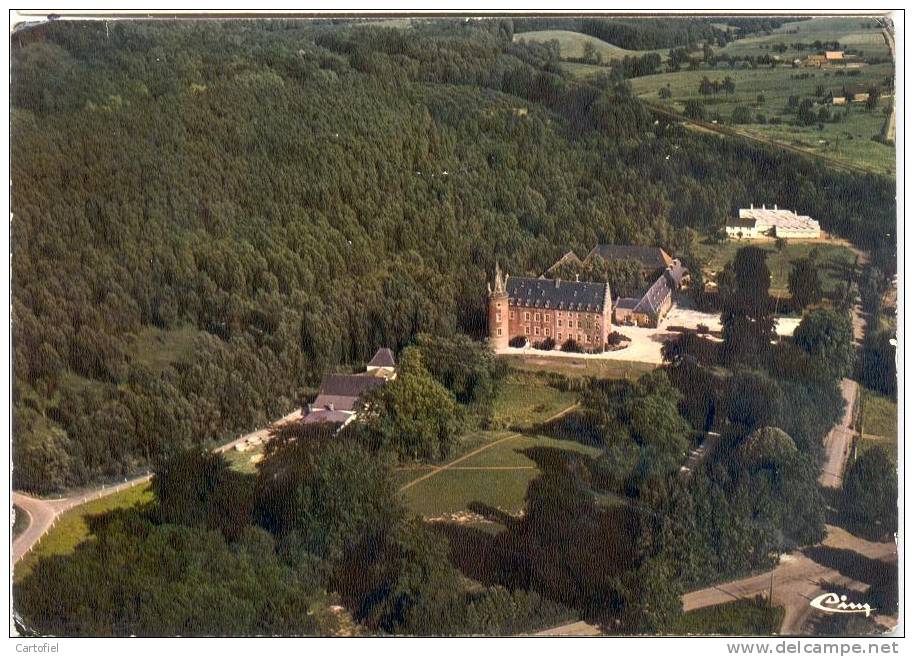 REMERSDAAL-LUCHTOPNAME-KASTEEL-CHATEAU - Fourons - Vören