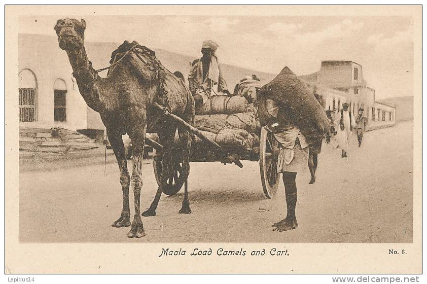 U 719 / CPA   ASIE - YEMEN -    MAALA LOAD CAMELS AND CART  - ADEN - Yemen